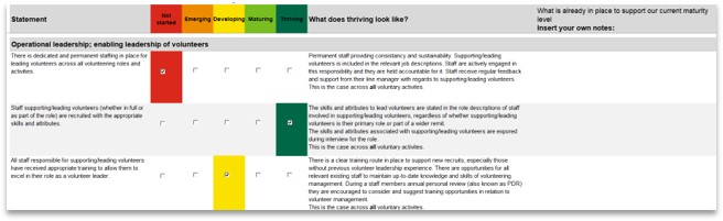 amb volunteering maturity matrix 2